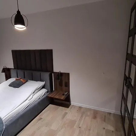 公寓 Lux Loft 波兰尼卡-兹德鲁伊